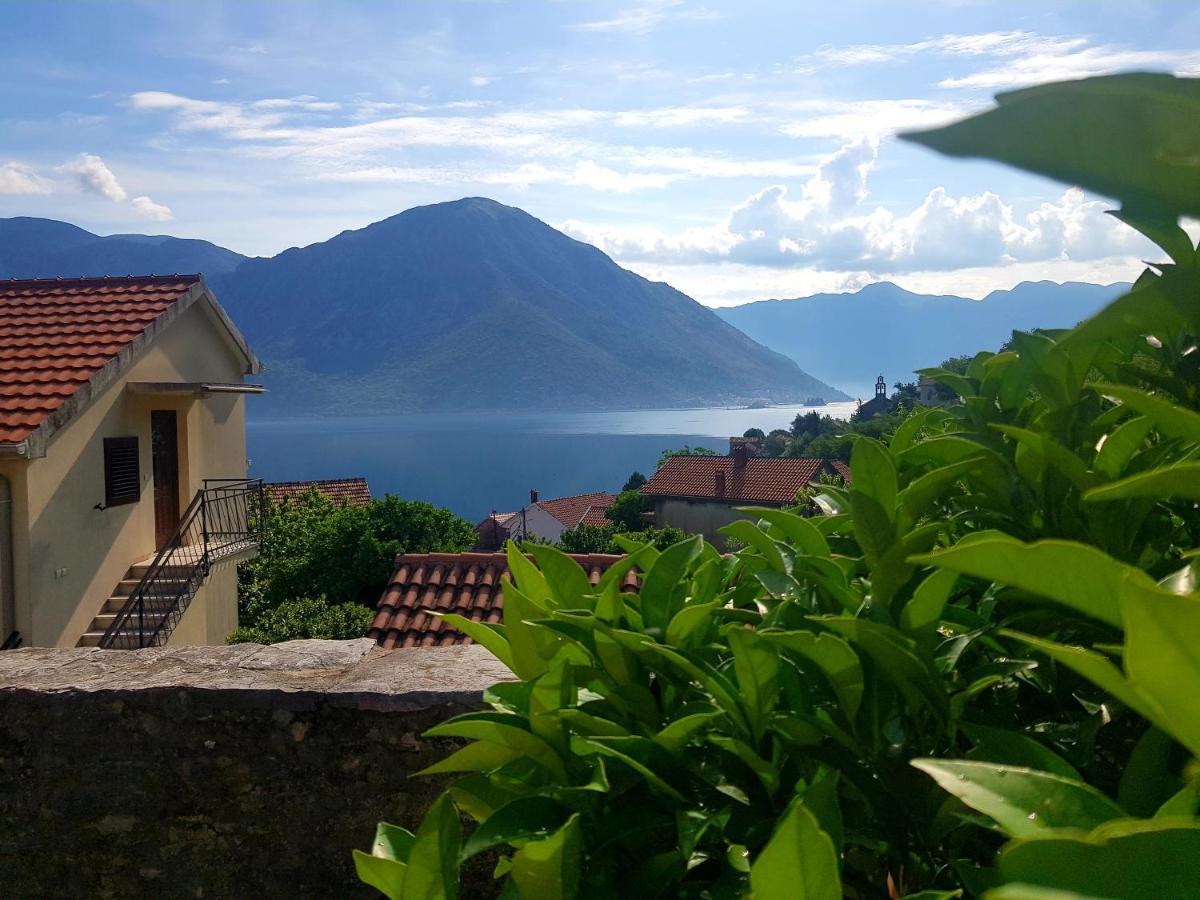 Guest House Maza Cattaro Esterno foto