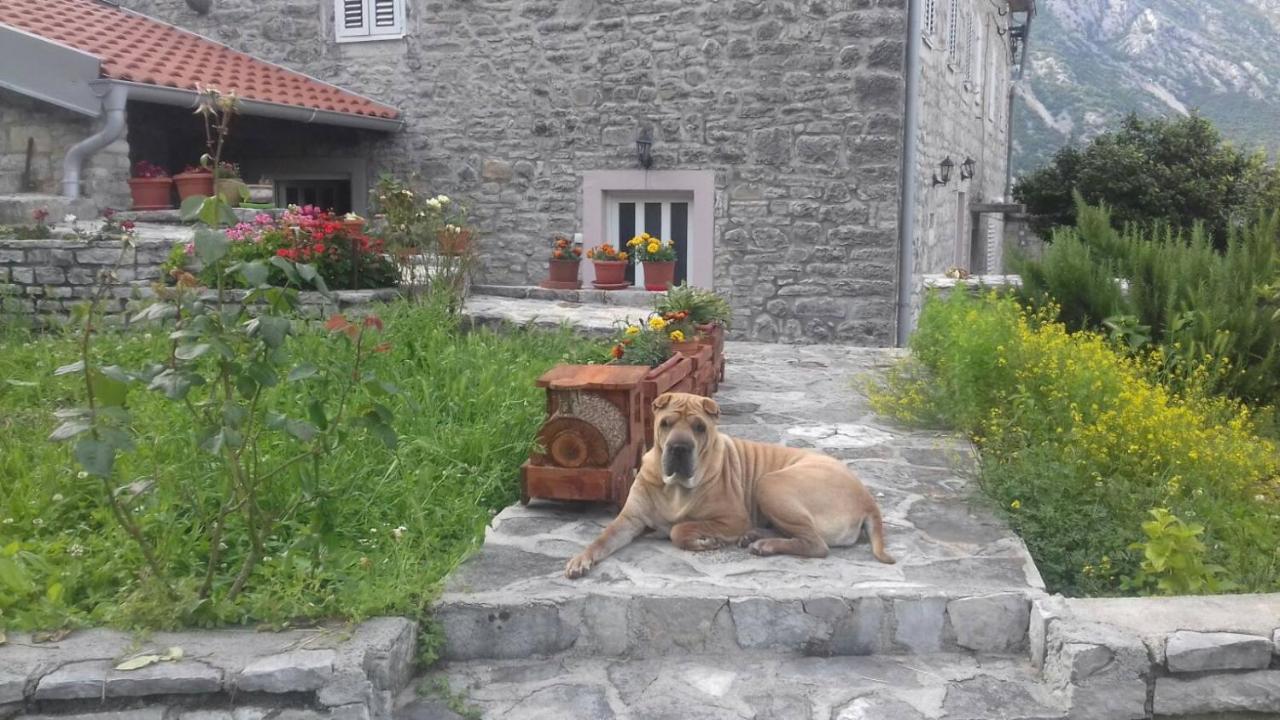 Guest House Maza Cattaro Esterno foto
