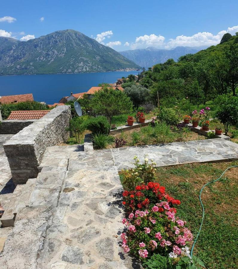 Guest House Maza Cattaro Esterno foto